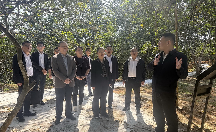 C94BBF5883E2542E44E2864F72A_A7D21F5F_4C86E C94BBF5883E2542E44E2864F72A_A7D21F5F_4C86E