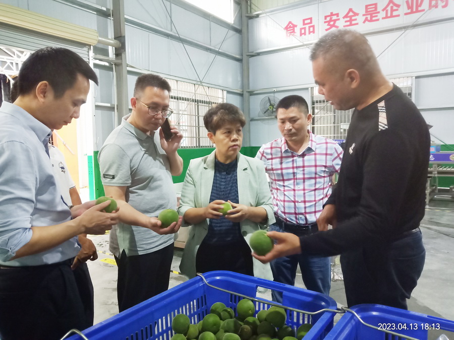 58635D3A41FDF735CF10A7A2935_EC1F879A_3652E