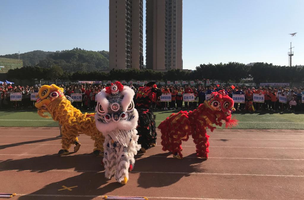 8BC6116B0D664962E11539604D2_2A00CAD2_184C5